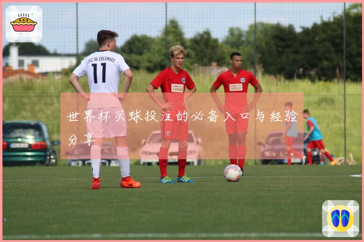 世界杯买球投注的必备入口与经验分享