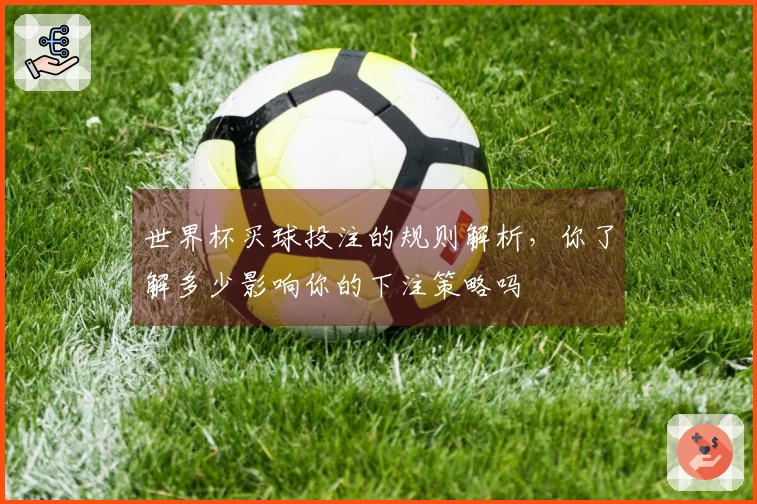 世界杯买球投注的规则解析，你了解多少影响你的下注策略吗