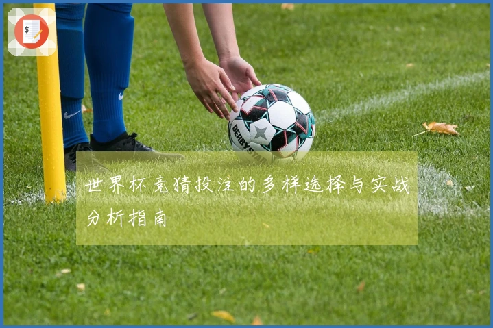 世界杯竞猜投注的多样选择与实战分析指南