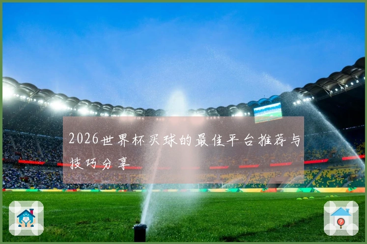 2026世界杯买球的最佳平台推荐与技巧分享