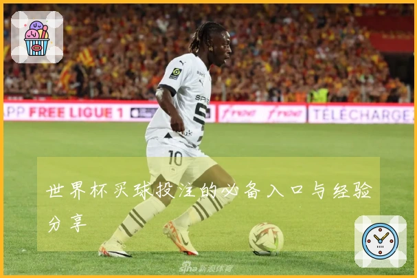 世界杯买球投注的必备入口与经验分享