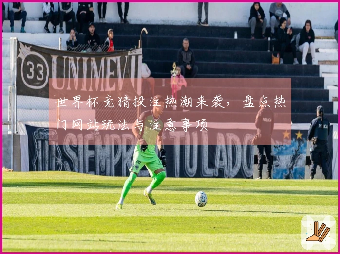 世界杯竞猜投注热潮来袭，盘点热门网站玩法与注意事项