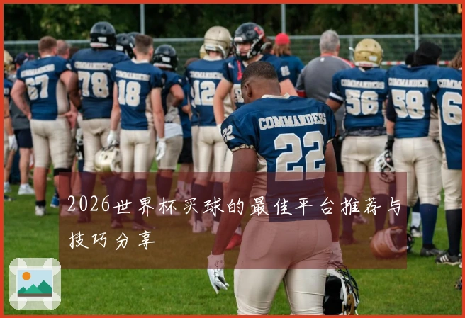 2026世界杯买球的最佳平台推荐与技巧分享