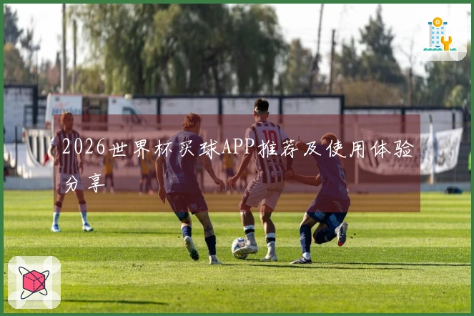 2026世界杯买球APP推荐及使用体验分享